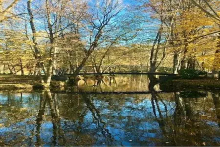 Jules & Paula, Maison de vacances attrayante à Viroinval, près de la forêt - Photo 38