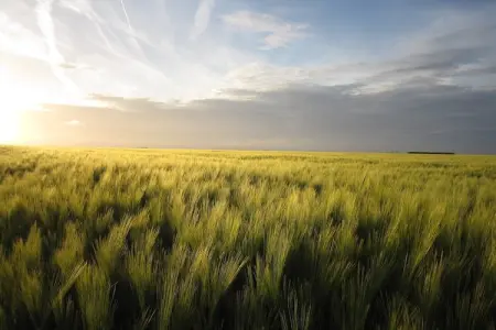 Gite Saint Julien, Spacieux gîte avec jardin privé en Normandie - Photo 19