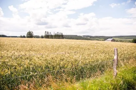 Coteau Saint-Hilaire 3, Belle maison de vacances à Fraiture avec sauna infrarouge - Photo 30