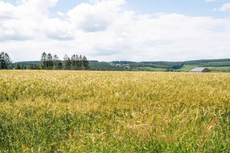 Coteau Saint-Hilaire 3, Belle maison de vacances à Fraiture avec sauna infrarouge - Photo 31