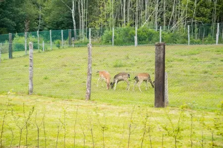 Rogery 64, Charmant chalet à Rogery avec jardin, terrasse et barbecue - Photo 15