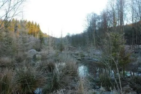 Rogery 64, Charmant chalet à Rogery avec jardin, terrasse et barbecue - Photo 24