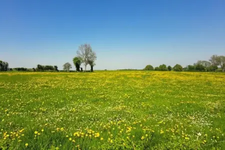 Rogery 64, Charmant chalet à Rogery avec jardin, terrasse et barbecue - Photo 32