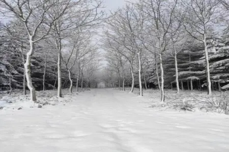 Rogery 64, Charmant chalet à Rogery avec jardin, terrasse et barbecue - Photo 38