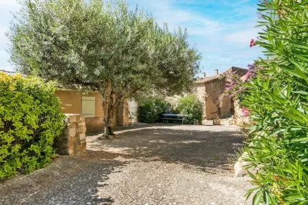 La vigneronne, Maison rénovée pour quatre dans le vieux village cathare de Montouliers - Photo 27