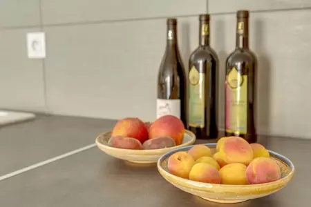 La vigneronne, Maison rénovée pour quatre dans le vieux village cathare de Montouliers - Photo 33