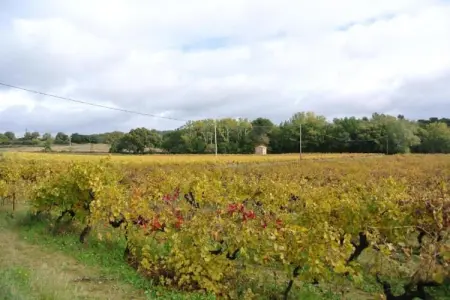 Appartement Geny Avignon, Très bel appartement en plein centre ville d'Avignon - Photo 32