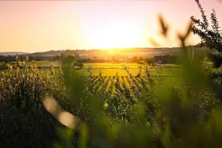 Appartement Geny Avignon, Très bel appartement en plein centre ville d'Avignon - Photo 36
