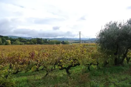 Appartement Geny Avignon, Très bel appartement en plein centre ville d'Avignon - Photo 38