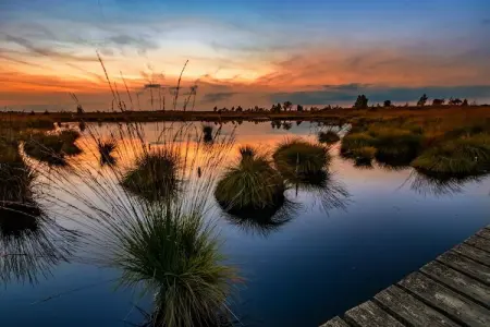 Au Coeur du Pêcheur, Chalet cosy à Jalhay avec terrasse à 5km des Hautes Fagnes - Photo 26