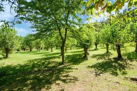 Fattoria 15, Maison de vacances spacieuse à Amandola avec piscine - Photo 57