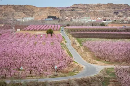 LA TORRE DE SEBASTIA, Maison de vacances animée à Fraga avec piscine privée - Photo 31