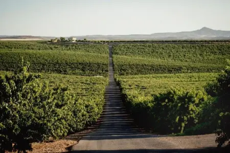 LA TORRE DE SEBASTIA, Maison de vacances animée à Fraga avec piscine privée - Photo 32