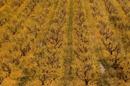LA TORRE DE SEBASTIA, Maison de vacances animée à Fraga avec piscine privée - Photo 35