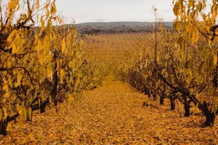 LA TORRE DE SEBASTIA, Maison de vacances animée à Fraga avec piscine privée - Photo 36