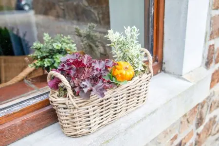 Le Petit Fagnard Gîte pour 9 personnes, Beau gîte au calme en Jalhay à 5 minutes des Hautes Fagnes - Photo 27
