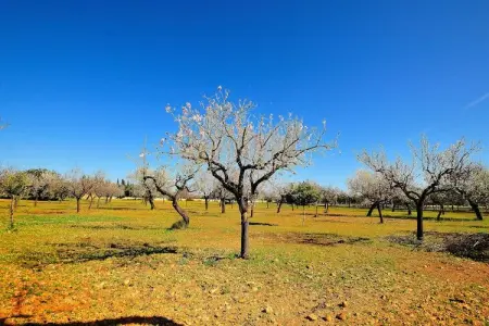 Casa Caleu, Maison de campagne de construction récente un style minimaliste, piscine privée - Photo 20