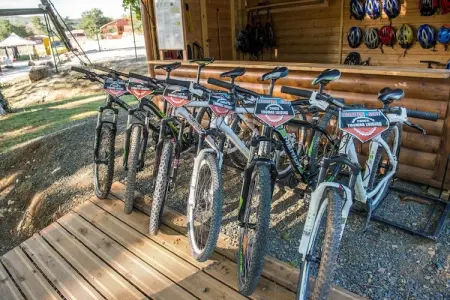 L'Espinet 4, Maison individuelle à terrasse sur vaste domaine verdoyant - Photo 8