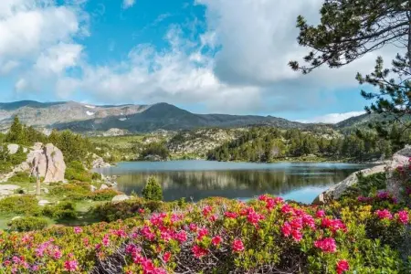 L'Espinet 4, Maison individuelle à terrasse sur vaste domaine verdoyant - Photo 29