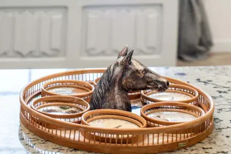 Maison Curti, Maisonnette à la Roquette dans résidence privée - Photo 30