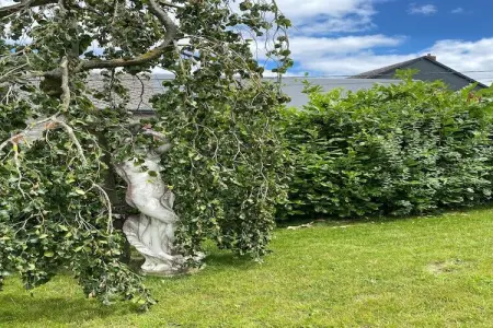 La Demeure du Baron, Magnifique demeure aux vastes pièces dans une campagne verdoyante - Photo 38