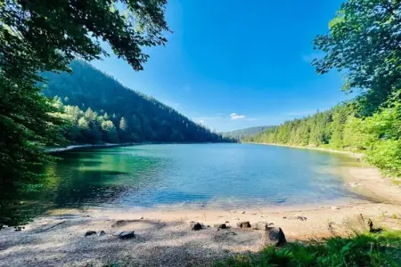 Le Renard, Magnifique chalet à Lotharingen avec terrasse - Photo 22
