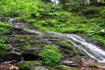 Le Renard, Magnifique chalet à Lotharingen avec terrasse - Photo 23