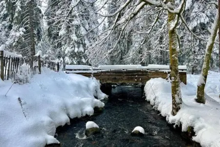 Le Renard, Magnifique chalet à Lotharingen avec terrasse - Photo 38