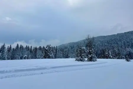 Le Renard, Magnifique chalet à Lotharingen avec terrasse - Photo 39