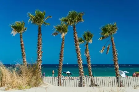 Jardins de Neptune 2, Belle maison près de la plage - Photo 15