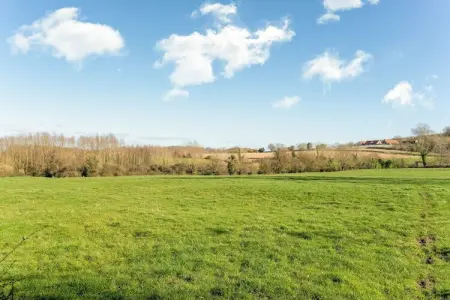The Little White House, Maison de vacances confortable à Westouter avec un jardin - Photo 36
