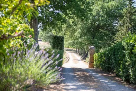 Villa  Le Trappoline, Propriété authentique au coeur du Chianti Classico avec piscine privée - Photo 7