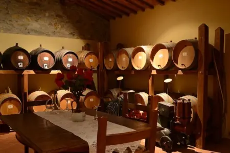 Villa  Le Trappoline, Propriété authentique au coeur du Chianti Classico avec piscine privée - Photo 27