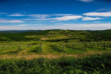 Villa  Le Trappoline, Propriété authentique au coeur du Chianti Classico avec piscine privée - Photo 28