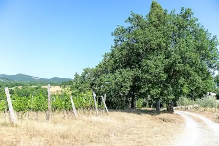 Villa  Le Trappoline, Propriété authentique au coeur du Chianti Classico avec piscine privée - Photo 34