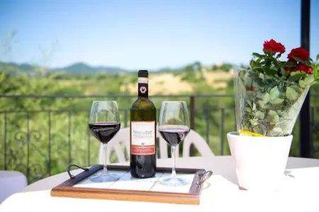 Villa  Le Trappoline, Propriété authentique au coeur du Chianti Classico avec piscine privée - Photo 37