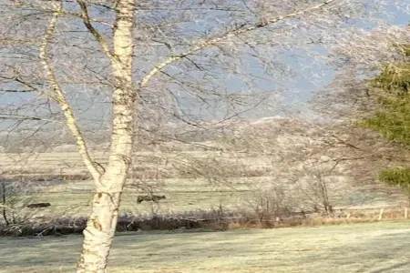 Pierreuse, Magnifique maison indépendante avec piscine extérieure pour l'été, proche de Spa - Photo 23