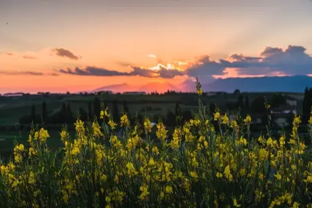 Leccio, Maison de vacances atypique avec piscine à Florence, Toscane - Photo 24
