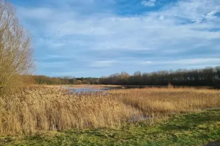 Vakantiewoning Palingsgat, Maison de vacances rurale adaptée aux enfants, située dans le Waasland - Photo 27