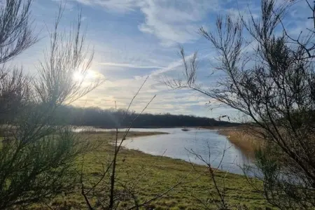 Vakantiewoning Palingsgat, Maison de vacances rurale adaptée aux enfants, située dans le Waasland - Photo 29
