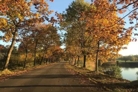Vakantiewoning Palingsgat, Maison de vacances rurale adaptée aux enfants, située dans le Waasland - Photo 36