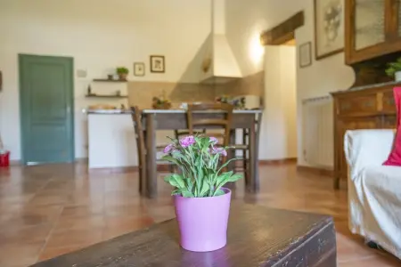 Oliveta, Bel appartement situé sur une propriété avec piscine entre Pise et Livourne - Photo 20