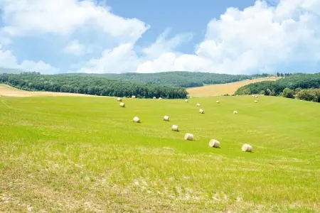 Oliveta, Bel appartement situé sur une propriété avec piscine entre Pise et Livourne - Photo 35