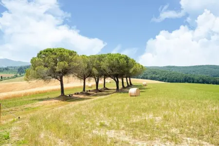 Oliveta, Bel appartement situé sur une propriété avec piscine entre Pise et Livourne - Photo 37