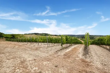 Il Poggiale-app10, Ferme luxuriante à Gambassi Terme-Fi avec court de tennis - Photo 25