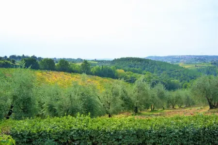 Il Poggiale-app10, Ferme luxuriante à Gambassi Terme-Fi avec court de tennis - Photo 36