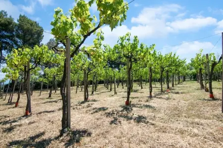 Brezza dal Mare, Maison de vacances accueillante à Pesaro avec jardin clôturé - Photo 33