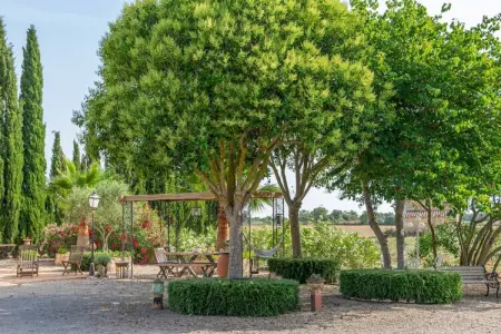 Banc Doli, BANC DOLI - Villa pour 6 personnes à MANACOR. - Photo 32