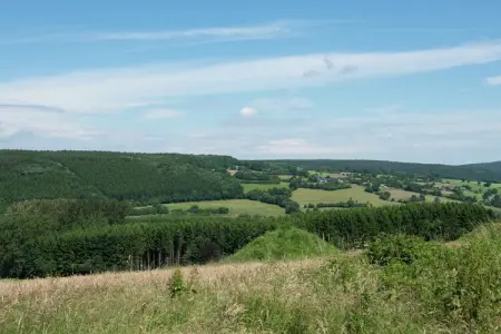Gite Briscot, Maison de vacances chic avec sauna à Polleur - Photo 28