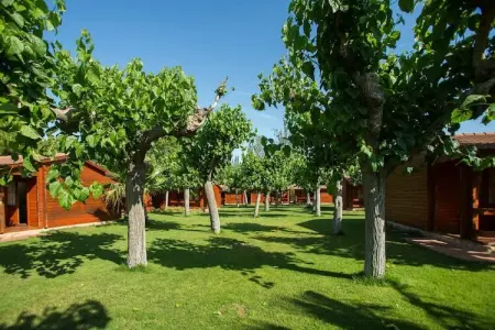 La Llosa 1 Xaloc, Bungalow en bois avec terrasse couverte, à 1 km de la plage - Photo 11